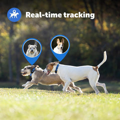 PetSafe Guardian GPS + Tracking Dog Fence Collar, advanced pet collar with GPS tracking and wireless containment system